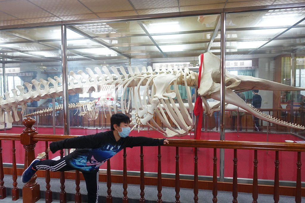 DSC09876.jpg
