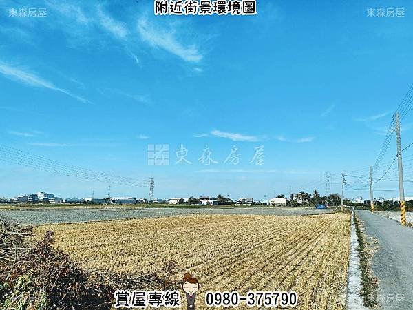 彰花路近彰化市→田+建【5700萬】 #花壇鄉