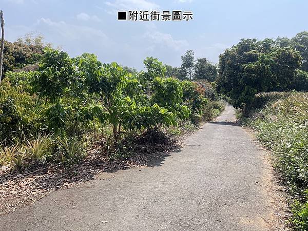 近寶藏寺果園【售328萬】