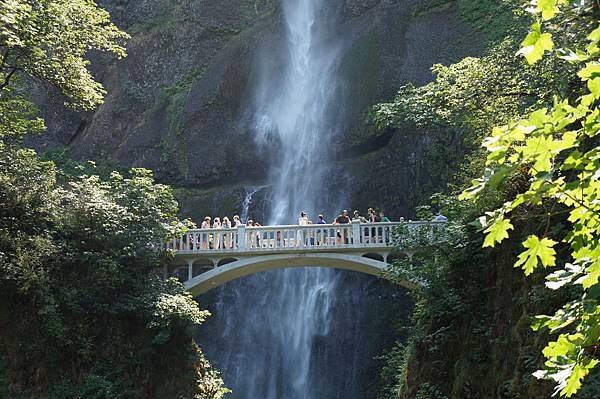 舊金山到奧瑞岡深度旅遊Road Trip from San 