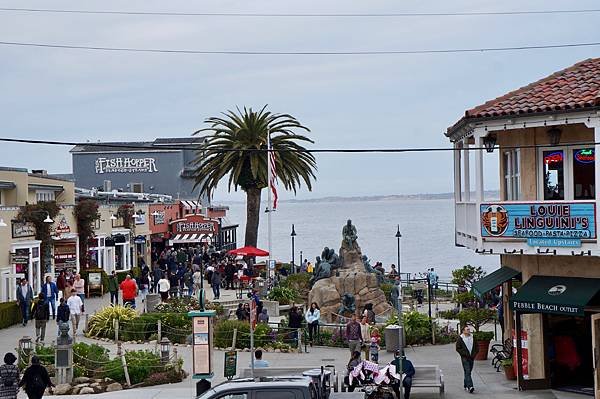 加州蒙特利Monterey Bay Aquarium 水族館