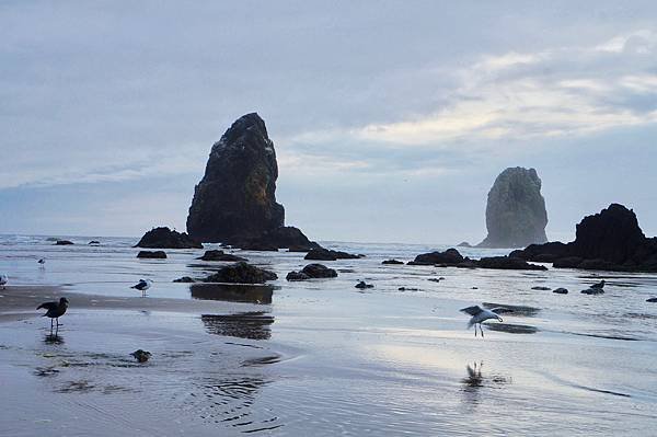 奧瑞岡州西北角海岸著名的Cannon Beach OR