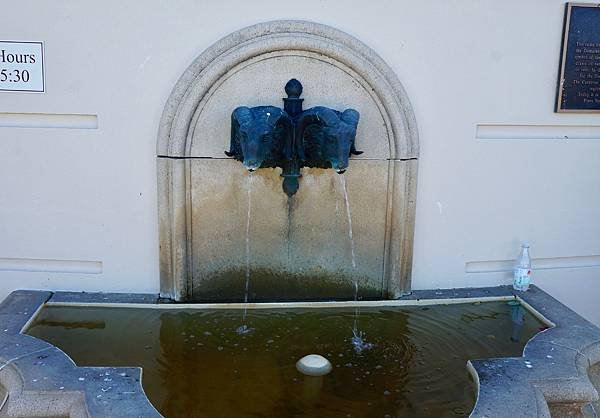 DSC01031.jpg