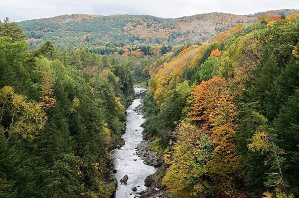 New England：Vermont賞楓必到之處Woods