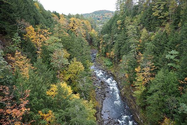 New England：Vermont賞楓必到之處Woods