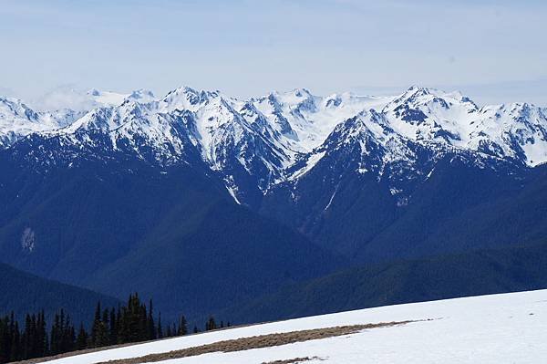 奧林匹克國家公園Olympic National Park,