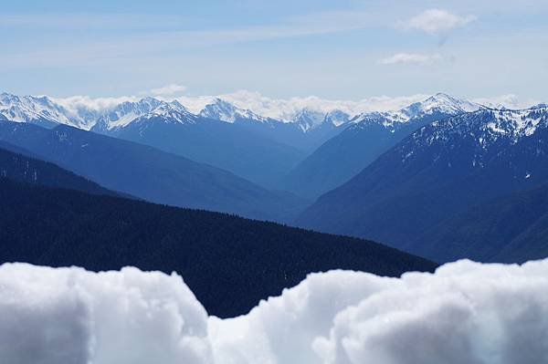 奧林匹克國家公園Olympic National Park,