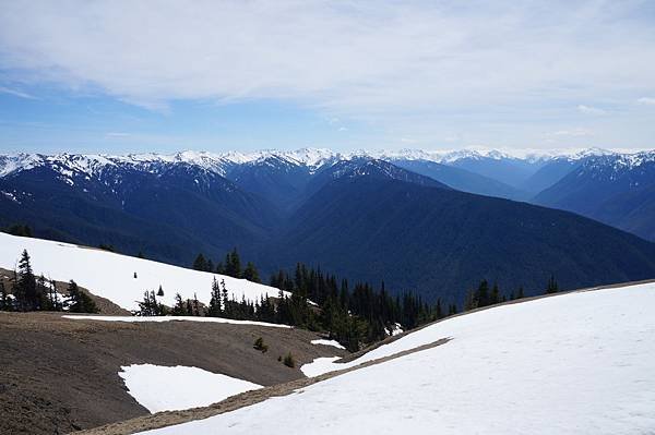 奧林匹克國家公園Olympic National Park,