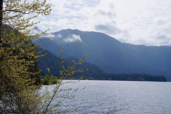 奧林匹克國家公園Olympic National Park,