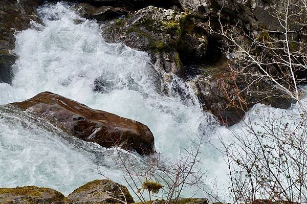 奧林匹克國家公園Olympic National Park,