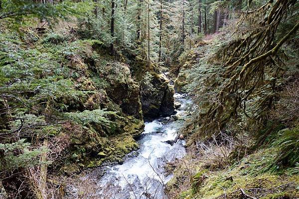 奧林匹克國家公園Olympic National Park,