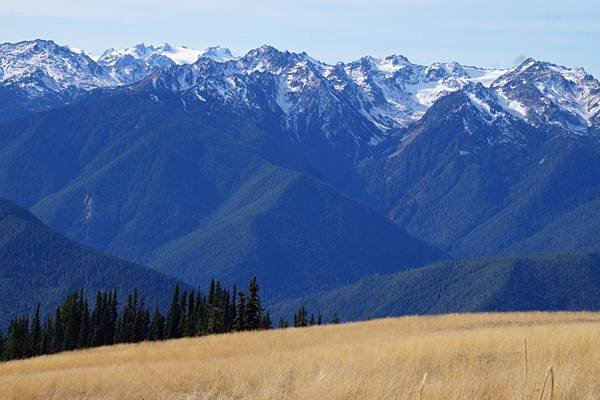 奧林匹克國家公園Olympic National Park,