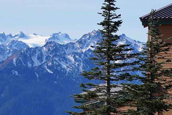 奧林匹克國家公園Olympic National Park,