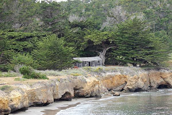 北加州Big Sur海岸線Point Lobos State