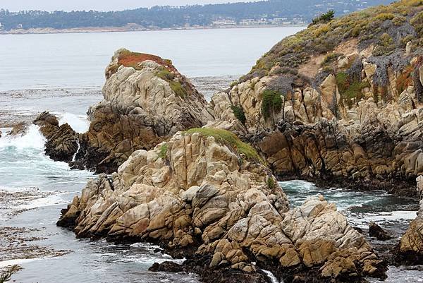 北加州Big Sur海岸線Point Lobos State