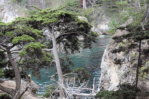 北加州Big Sur海岸線Point Lobos State