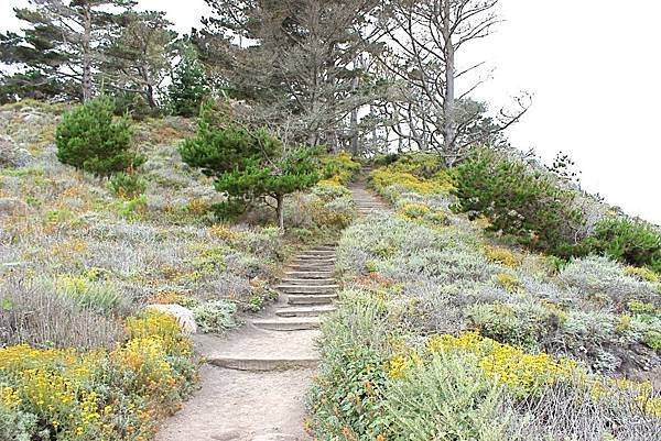 北加州Big Sur海岸線Point Lobos State