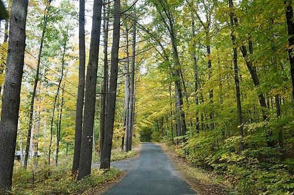 New England: Mohawk Trail, MA 