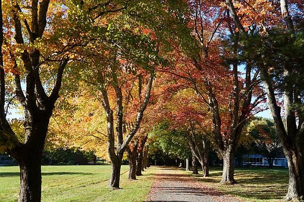 麻州康科特Concord,MA