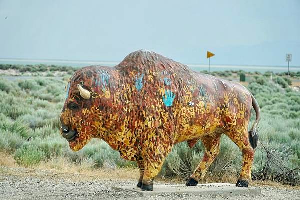 猶他州大鹽湖上最大的島-Antelope Island St