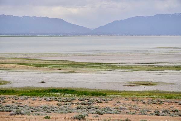 猶他州大鹽湖上最大的島-Antelope Island St