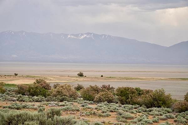 猶他州大鹽湖上最大的島-Antelope Island St