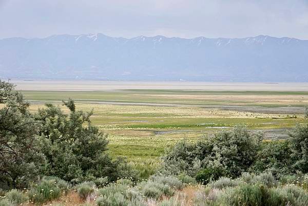 猶他州大鹽湖上最大的島-Antelope Island St