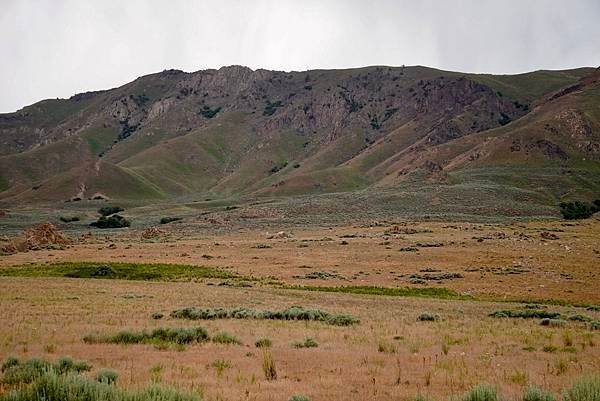 猶他州大鹽湖上最大的島-Antelope Island St