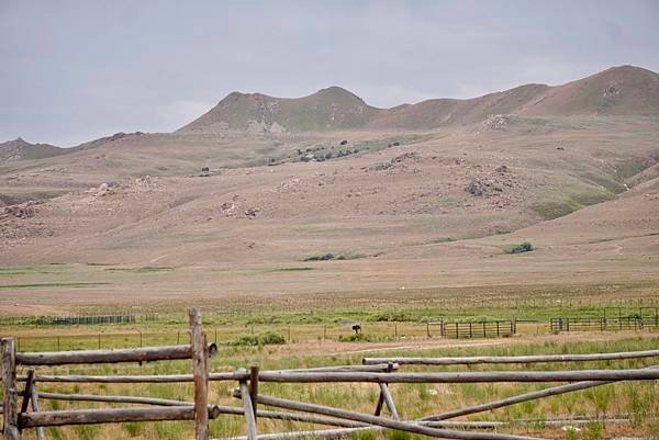 猶他州大鹽湖上最大的島-Antelope Island St