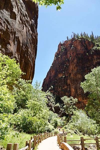 猶他州宰恩國家公園Zion National Park