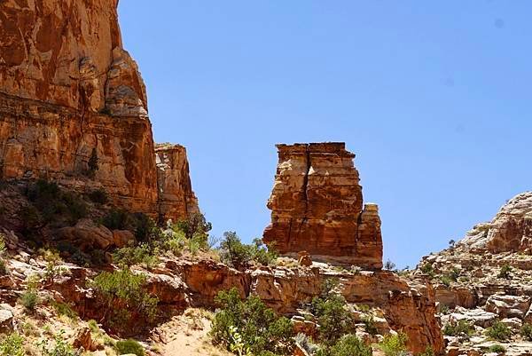 猶他州頂礁國家公園Capitol Reef National