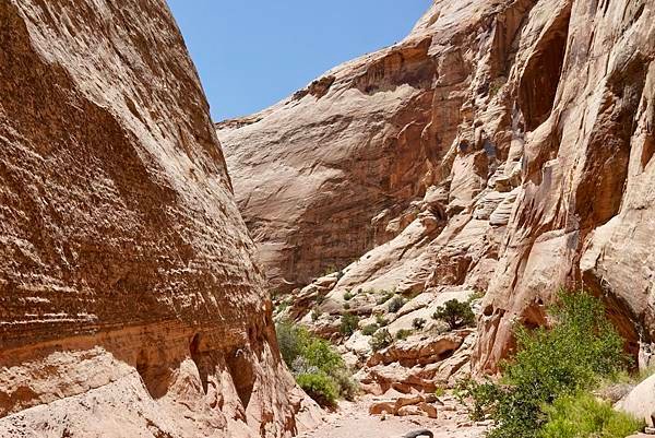 猶他州頂礁國家公園Capitol Reef National