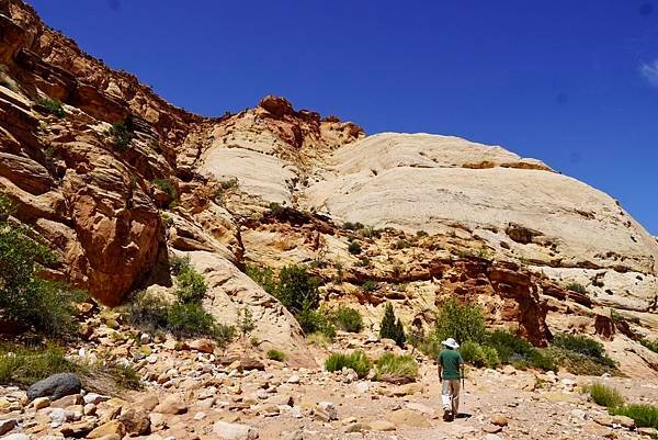 猶他州頂礁國家公園Capitol Reef National