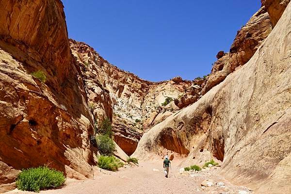 猶他州頂礁國家公園Capitol Reef National