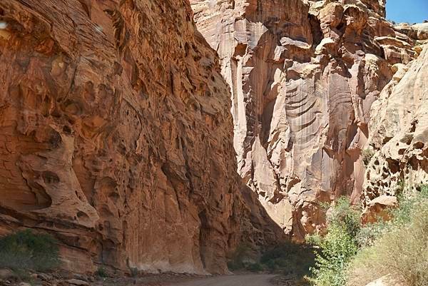 猶他州頂礁國家公園Capitol Reef National