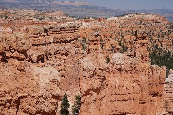 猶他州布萊斯峽谷國家公園Bryce Canyon Natio