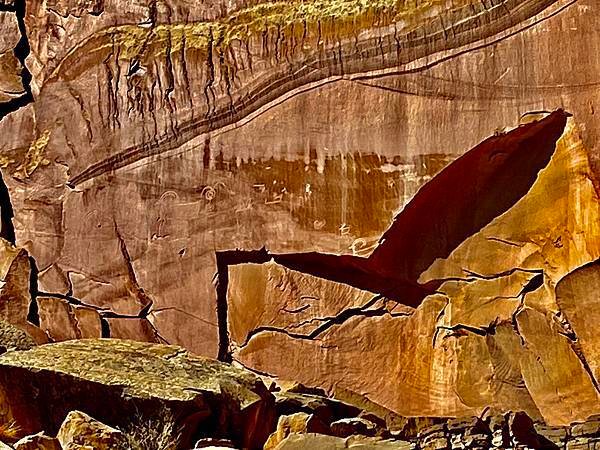 猶他州頂礁國家公園Capitol Reef National