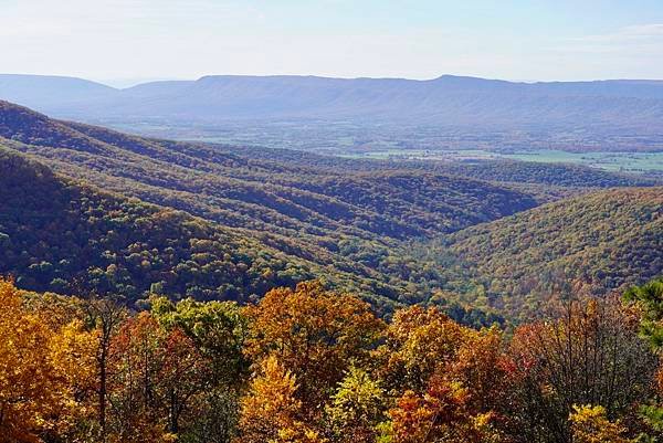 維吉尼亞州Shenandoah National Park仙