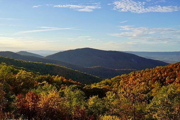 維吉尼亞州Shenandoah National Park仙