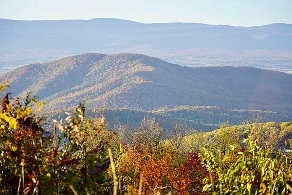 維吉尼亞州Shenandoah National Park仙