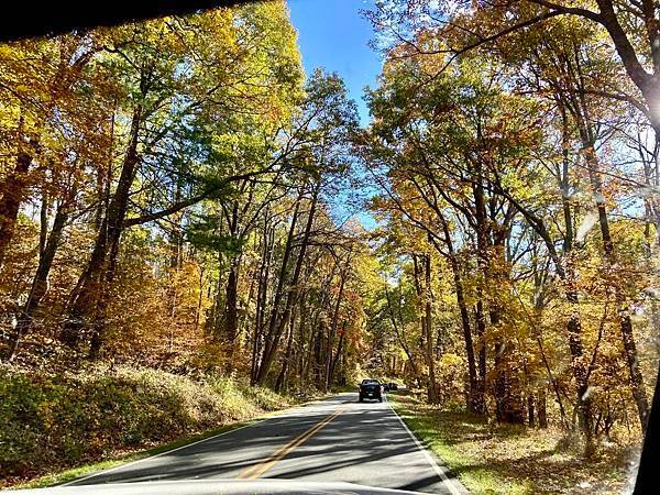 維吉尼亞州Shenandoah National Park仙