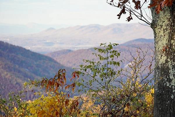 維吉尼亞州Shenandoah National Park仙