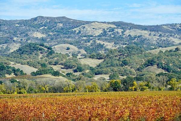 加州Sonoma酒莊-歷史城鎮Historic Sonoma