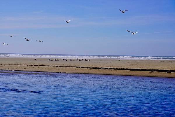 奧瑞岡州西北角海岸著名的Cannon Beach OR