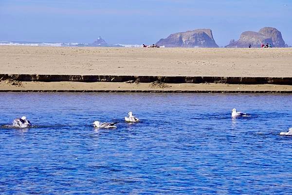 奧瑞岡州西北角海岸著名的Cannon Beach OR