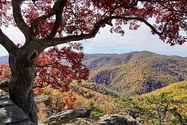 藍嶺之路Blue Ridge Parkway銜接延續兩大國家