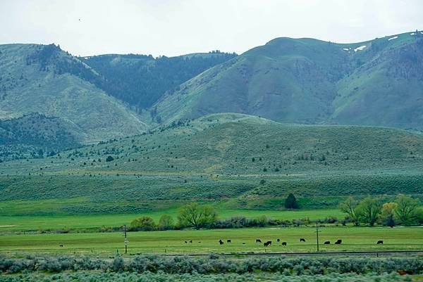 夏季循著Oregon Trail歷史軌跡奧瑞岡馬蓬車行經路線