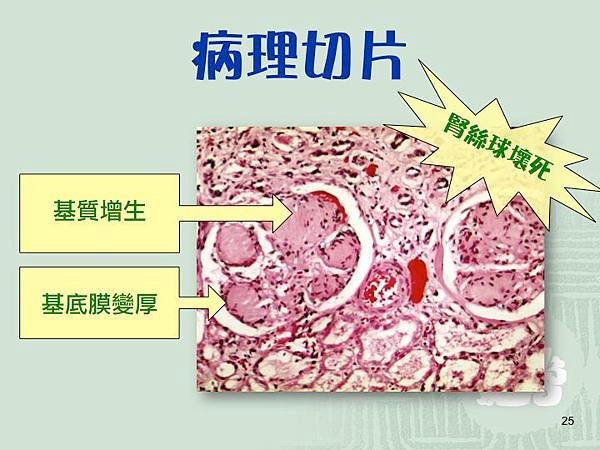 Slide25.jpg