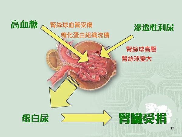 Slide12.jpg