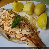 IMG_1132.JPG